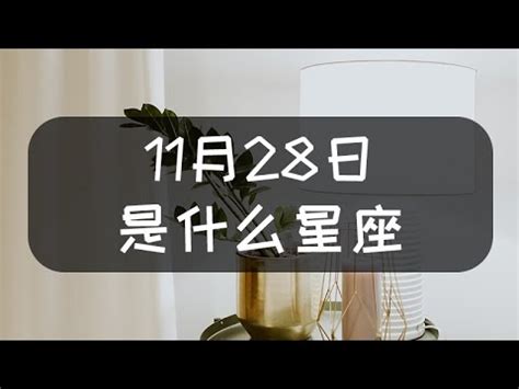 11月28號是什麼星座